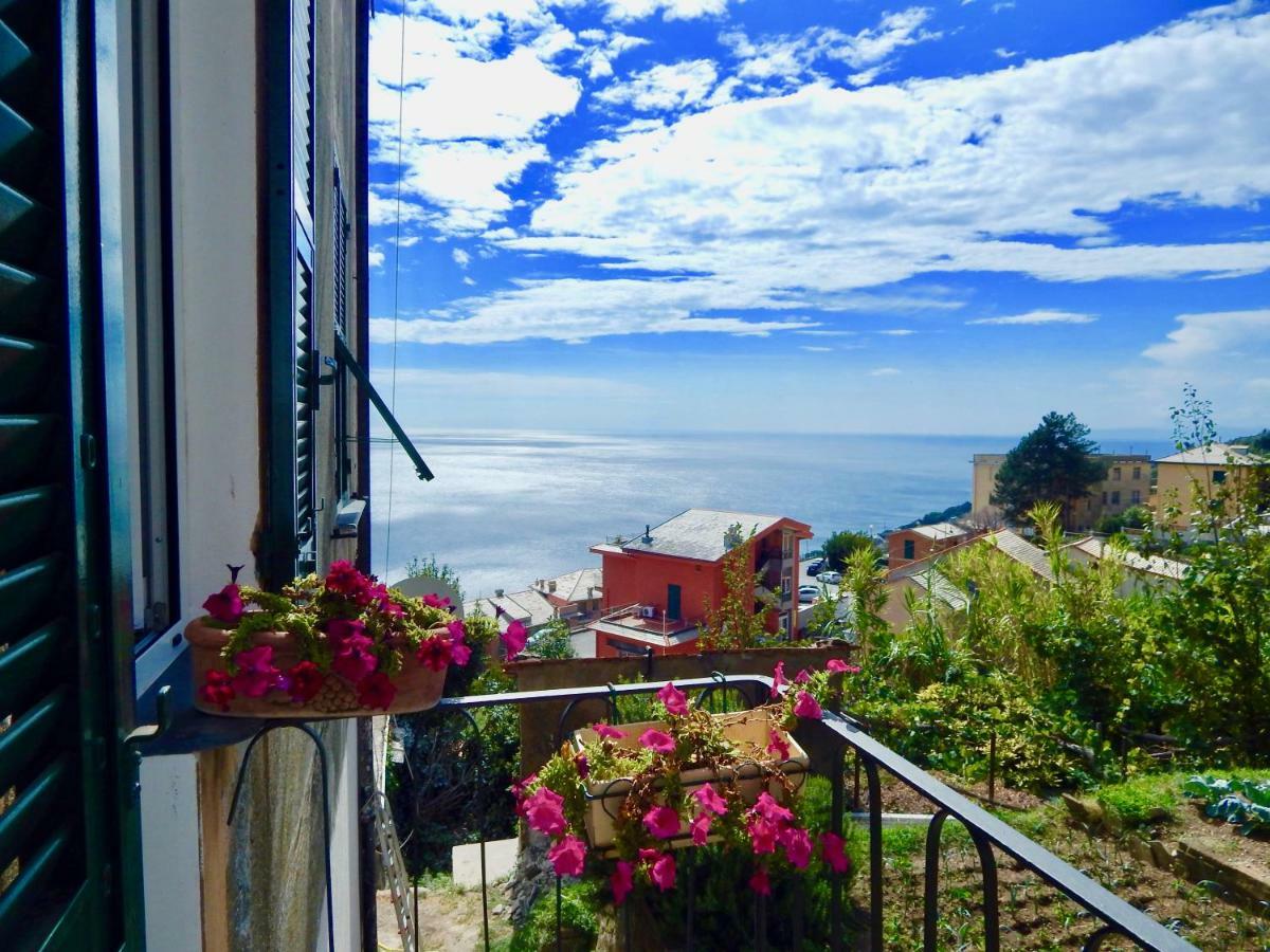 Le Giuee Hotel Genoa Exterior photo