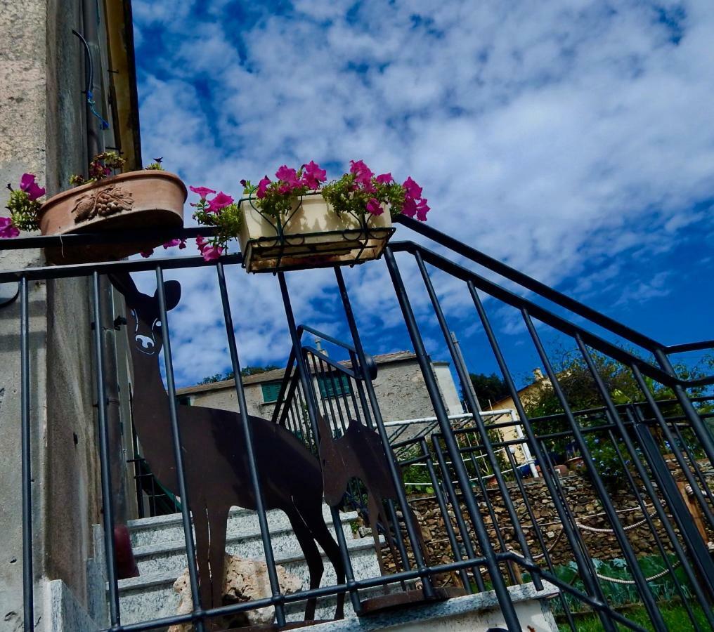 Le Giuee Hotel Genoa Exterior photo